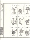 本草綱目(全四卷)（簡體書）
