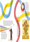 The Science of Art