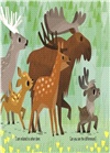 I'm a Reindeer (Little Golden Book)