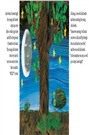 The Very Clumsy Click Beetle
