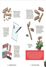 The Unordinary Book of Ideas: Everywhen Projects for Rainy Days