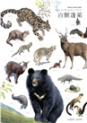 遇見臺灣野生之寶：臺灣陸域保育類野生動物手繪海報（1套8張）