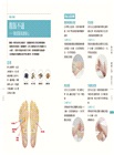 按摩泡腳百病消：圖解7種按摩技法×33個足部穴位×66個足部反射區×84組足浴配方！