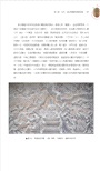 中國佛教美術史(增訂二版)