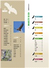猛禽觀察圖鑑(全新增訂版) A Field Guide to the Raptors of Taiwan