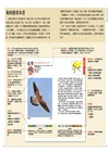 猛禽觀察圖鑑(全新增訂版) A Field Guide to the Raptors of Taiwan