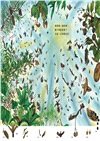 種子笑哈哈（隨書附贈「花與種子對照圖」書衣海報）―近藤薰美子自然繪本