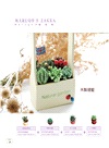 原來是黏土！MARUGOの彩色多肉植物日記：自然素材．風格雜貨．造型盆器 懶人在家也能作の經典多肉植物黏土ZAKKA.27