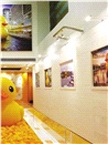 橡皮鴨游世界．香港站（Rubber Duck Project - Hong Kong tour）