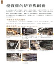 香港食材圖鑑