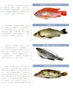 河塘鮮食（中英對照）