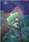 小魚