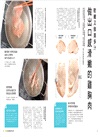 肉の料理科學【超圖解】：1000張分解圖！大廚不外傳的雞豬牛羊306個部位烹調密技，從選對肉到出好菜一本搞定！
