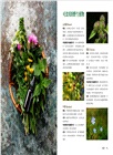 香料藥草・居家自然療法聖經：超過100種天然無毒X食譜處方，Step by Step解決憂鬱、失眠、腸胃和心血管等60種問題