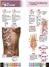 經穴大全(大字版):超科學!3D經穴解剖全書