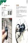 甲蟲超人超圖解