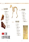 美麗的幻獸生態骨骼圖鑑