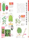 超圖解！園藝新手栽培大全