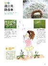 在大自然裡找玩具：一起來玩100種花草遊戲！野餐‧露營‧近郊散步，動手玩自然