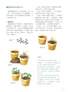 觀葉植物圖鑑:500種風格綠植栽培指南