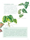 觀葉植物圖鑑:500種風格綠植栽培指南