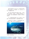 美麗獵食者:鯊魚圖鑑