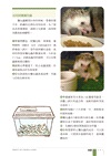 刺蝟完全飼育手冊:飼育照護、健康管理、常見疾病通通一本掌握!