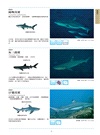 海水魚圖鑑