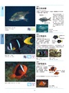 海水魚圖鑑
