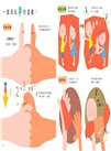 我的手：幼兒的認識身體互動書