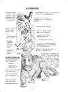 動物素描：享譽半世紀，暢銷全球的經典教程，從觀察、操作、訣竅，到風格應用的完備技法