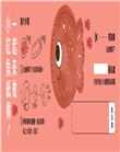聽，大海在唱歌！