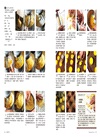 河田勝彥の永恆典藏甜點：完美學習甜點技術與深度