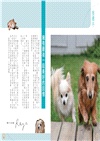 最開心的老犬生活完全指南 三民網路書店