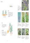 香草研究室：料理、香氛、植栽、品飲－最實用×最嚮往的自然好生活