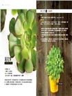 植栽時間：100種室內園藝裝飾diy