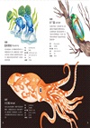 一日一動物探索超圖鑑：365種陸海空生物大集合，走入驚奇有趣的生態世界！