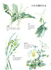 初學者の水彩基本功：輕鬆自學透明水彩花草繪