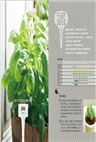 好種、好用の香草調味盆栽：16種香草植物的無農藥培育訣竅＋42道在家就能做的主廚級經典食譜