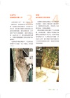 圖解樹木的診斷與治療：愛樹、種樹、養樹、醫樹，請先讀懂樹的語言，了解樹的心聲