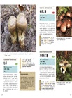 菇菇小學堂：150種菇類觀察入門圖鑑與小常識