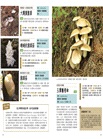 菇菇小學堂：150種菇類觀察入門圖鑑與小常識