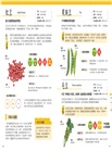 蔬菜小學堂：近100種蔬菜介紹、挑選方式、保存方法與小常識