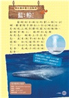 海洋動物圖鑑小百科《脊椎／無脊椎動物》