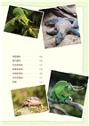 兩棲、爬行動物小百科